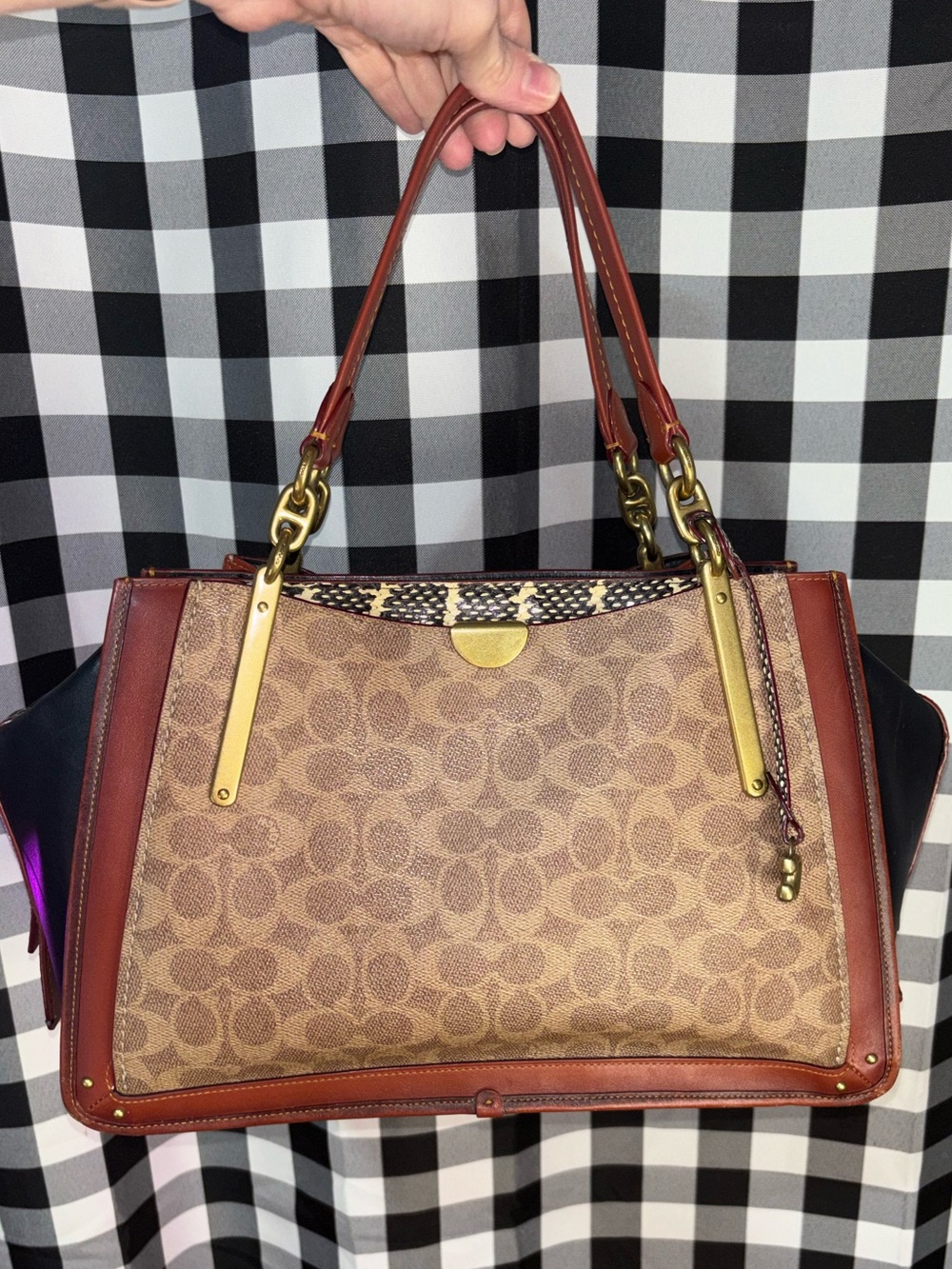 Coach Dreamer 36 Signature Satchel with Python Embossed Accents 2018